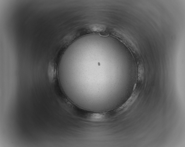 X0000102400176200808081312