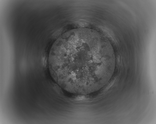 X0000102400177200808081312