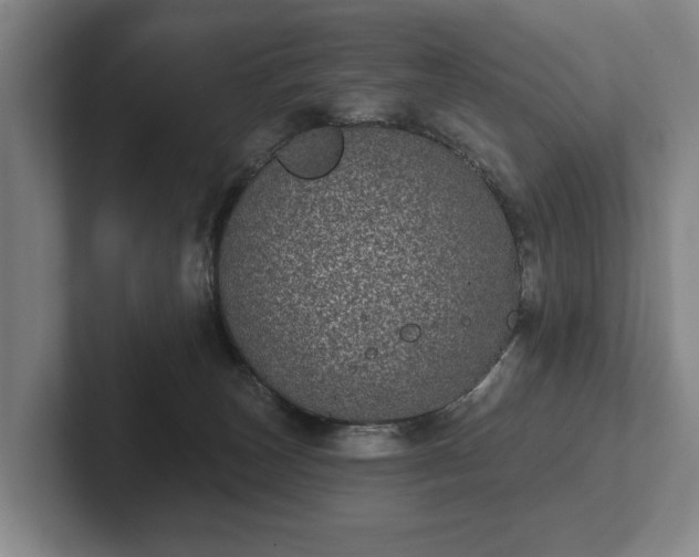 X0000102400179200808081312