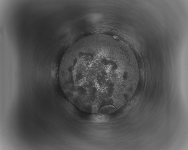 X0000102400181200808081312