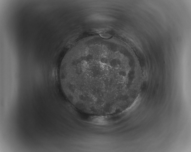 X0000102400182200808081312