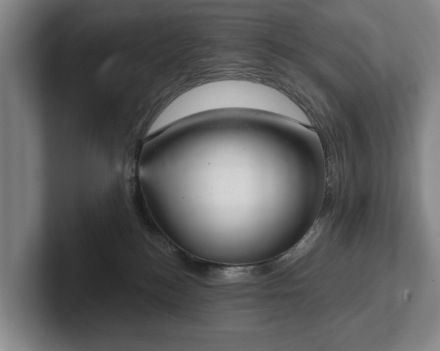 X0000102400184200808081312