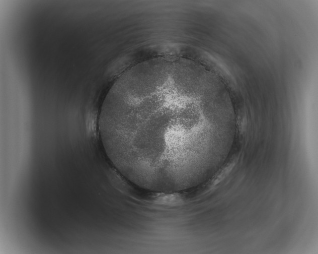 X0000102400185200808081312