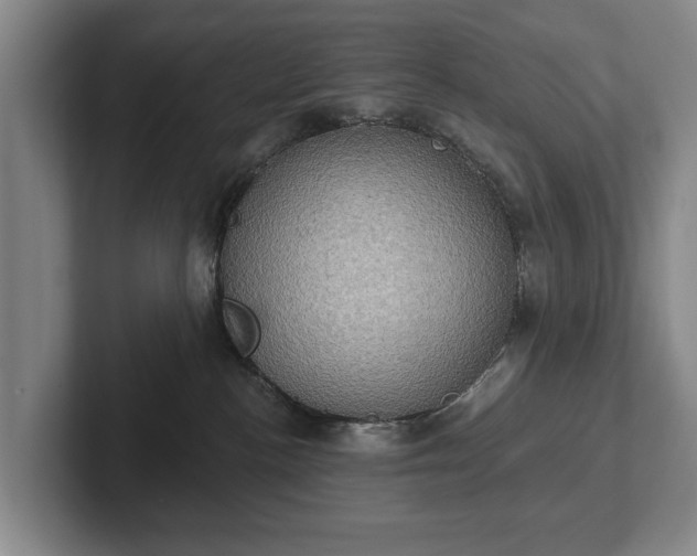 X0000102400188200808081312