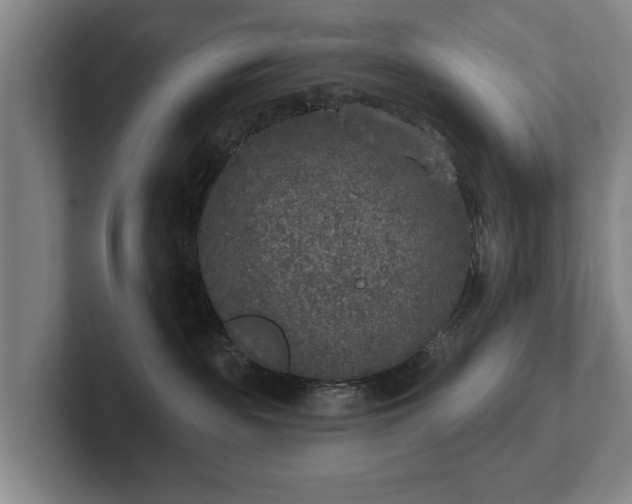 X0000102400189200808081312