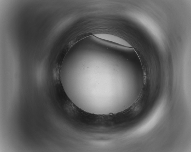 X0000102400190200808081312