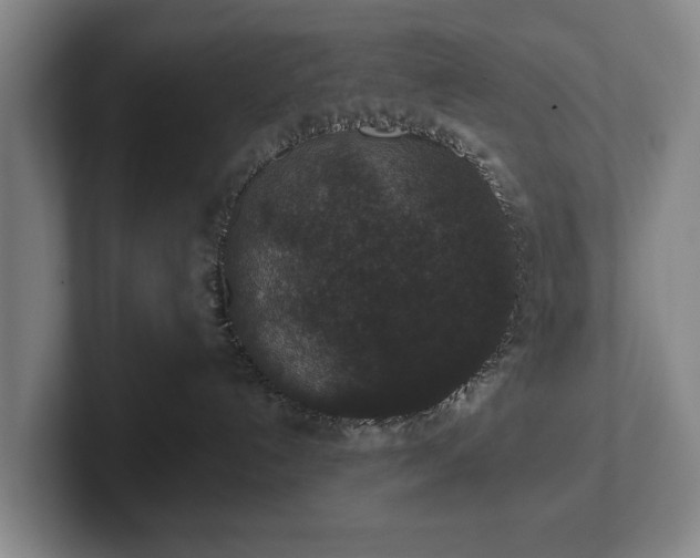 X0000102400192200808081312