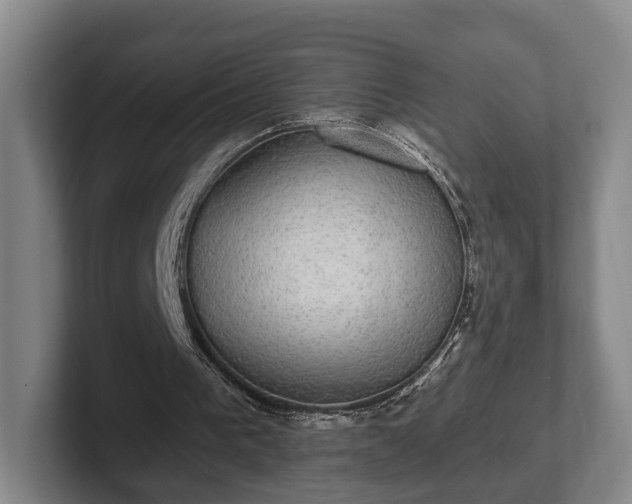 X0000102400193200808081311