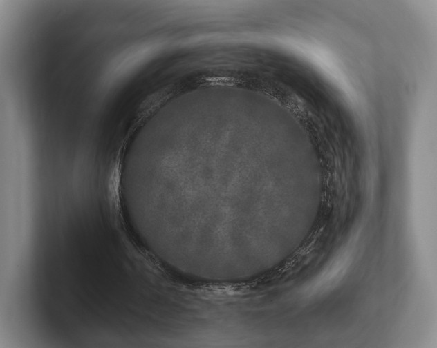 X0000102400194200808081311