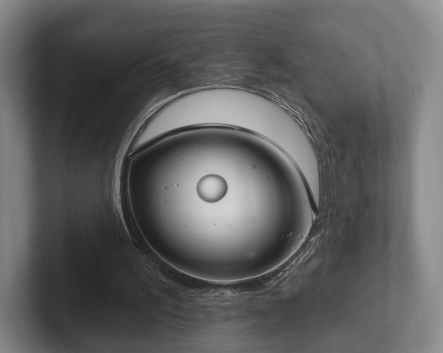 X0000102400195200808081311