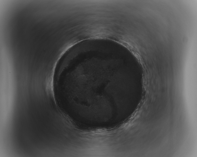 X0000102400196200808081311