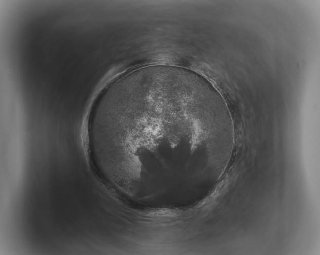 X0000102400198200808081311