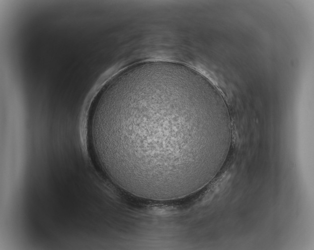 X0000102400199200808081311