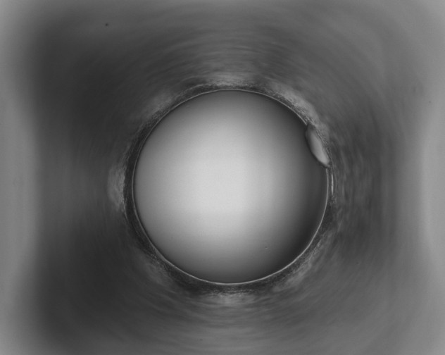 X0000102400201200808081311