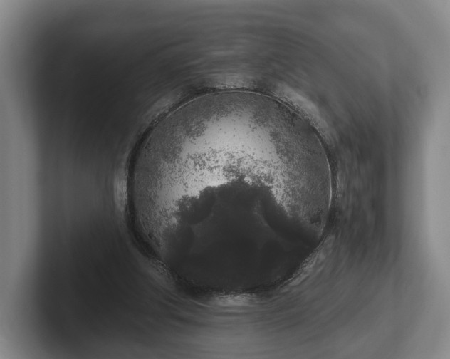 X0000102400202200808081311