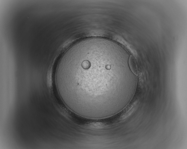 X0000102400203200808081311