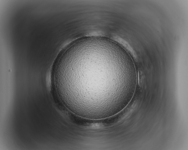 X0000102400204200808081311