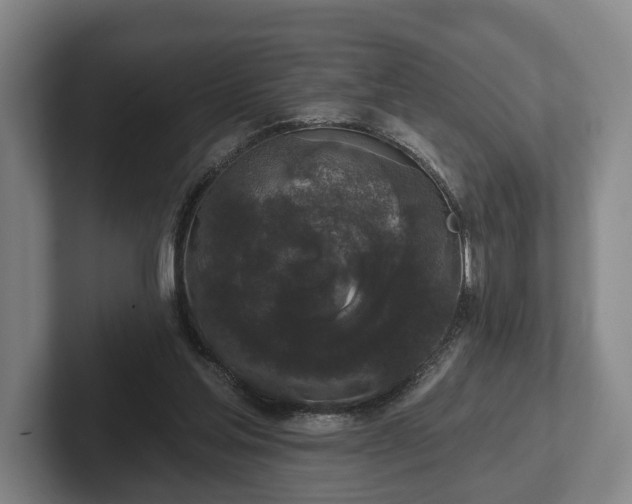 X0000102400205200808081311