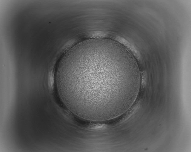 X0000102400206200808081311