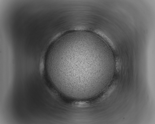 X0000102400208200808081311