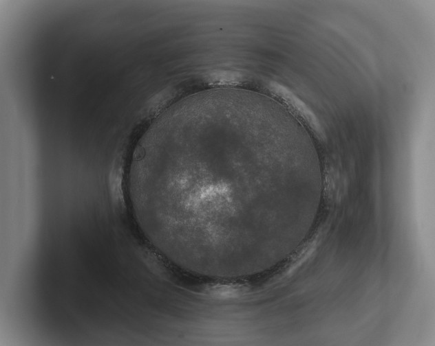 X0000102400209200808081311