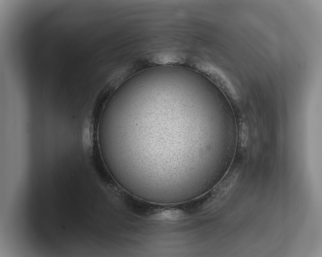 X0000102400210200808081311