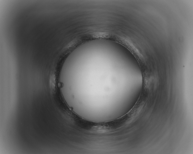 X0000102400211200808081311