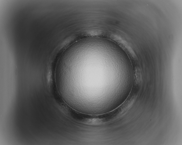 X0000102400212200808081311