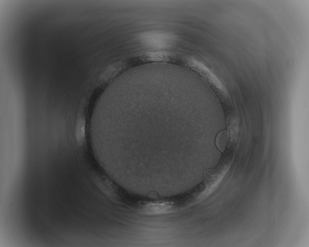 X0000102400213200808081311