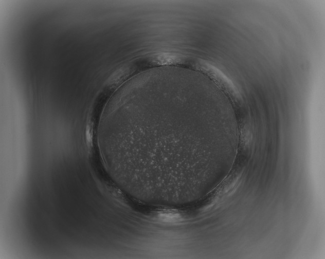 X0000102400214200808081311