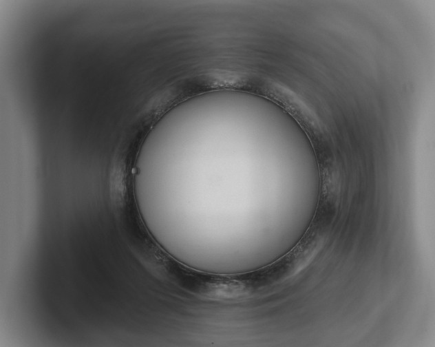 X0000102400215200808081311