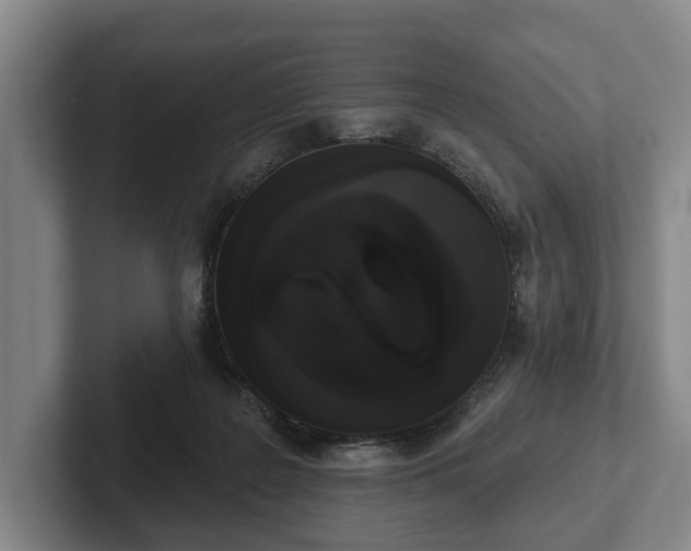 X0000102400219200808081311