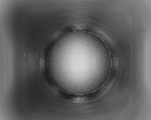 X0000102400220200808081311