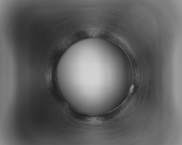 X0000102400221200808081311