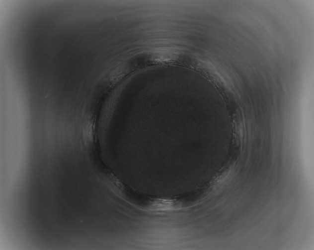 X0000102400227200808081311