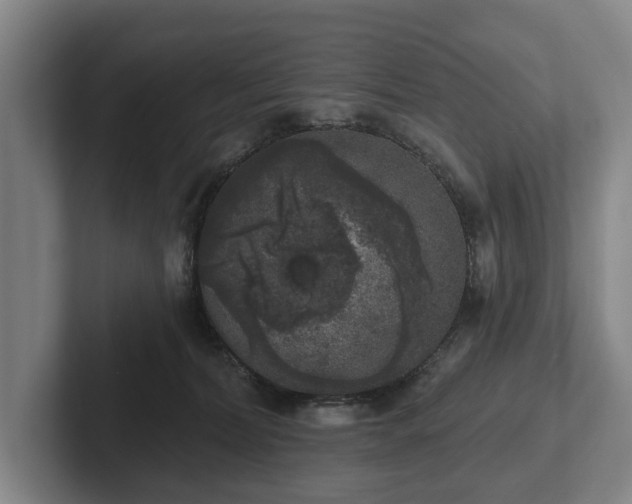 X0000102400228200808081311