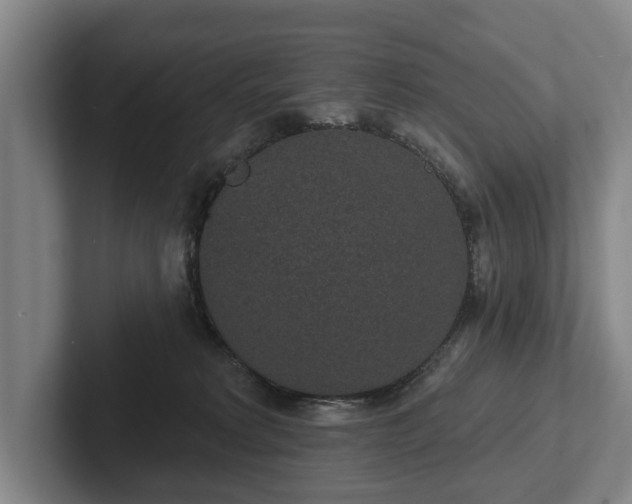 X0000102400229200808081311