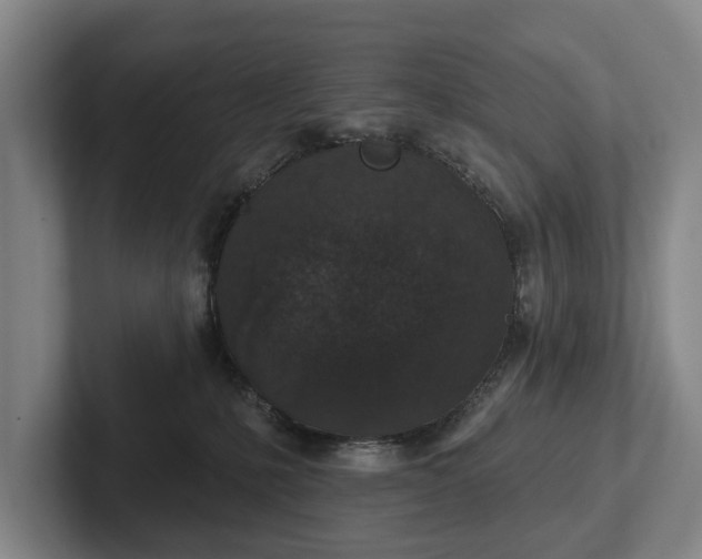 X0000102400231200808081311