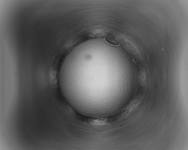 X0000102400232200808081311