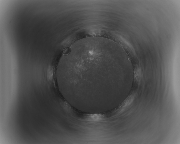 X0000102400233200808081311