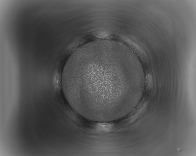 X0000102400234200808081311