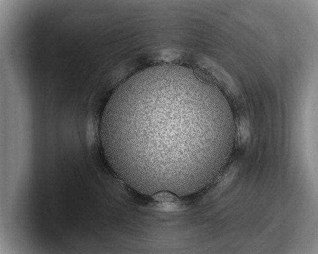 X0000102400236200808081311