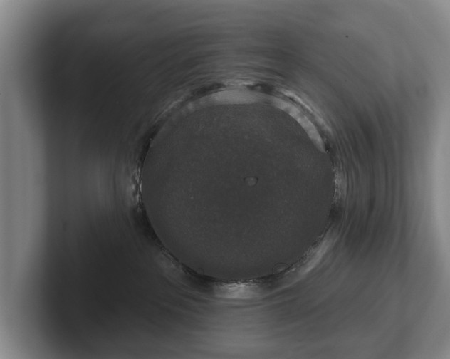 X0000102400237200808081311