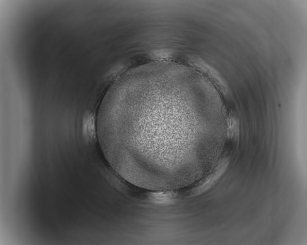 X0000102400238200808081311