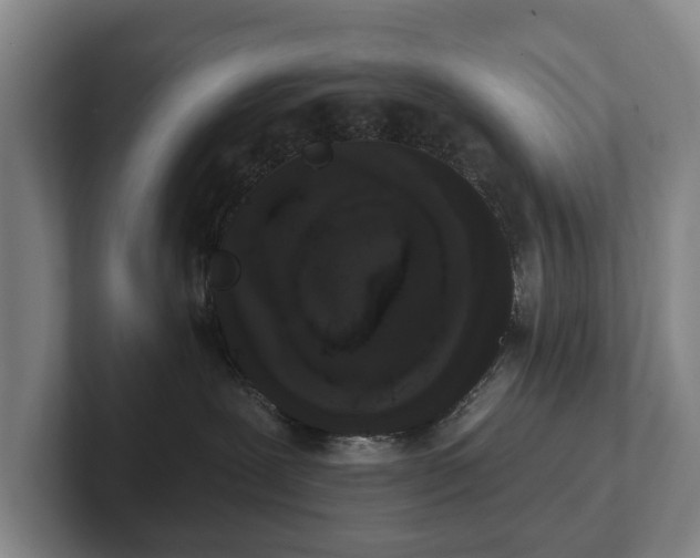 X0000102400239200808081311