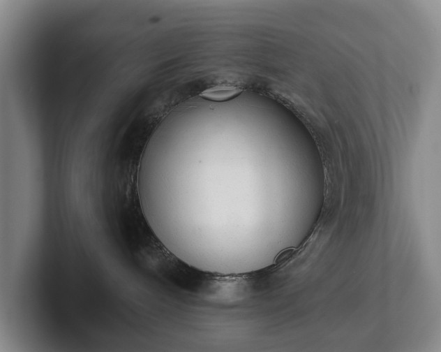 X0000102400240200808081310