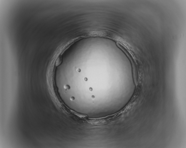 X0000102400241200808081310