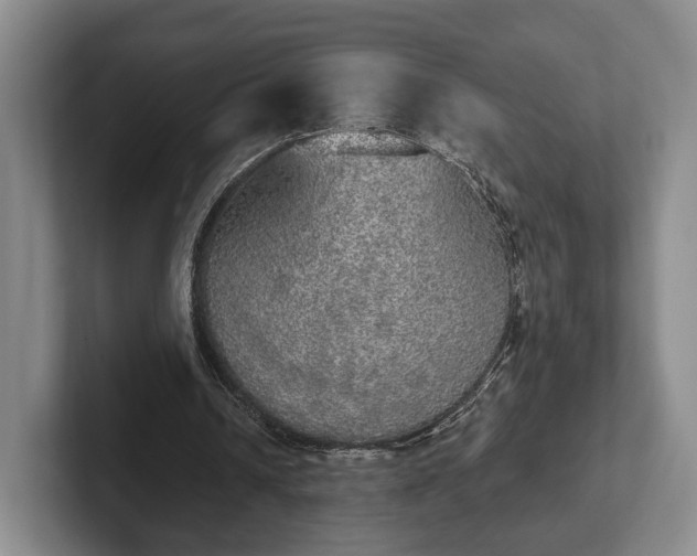 X0000102400242200808081310