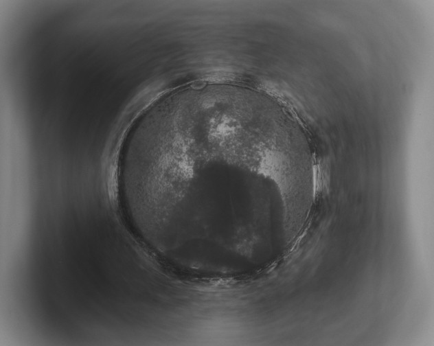 X0000102400243200808081310