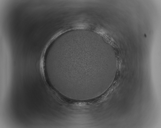 X0000102400244200808081310